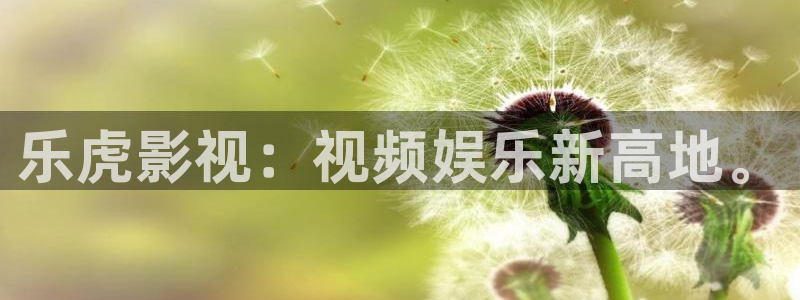 yy6080新视觉高清影院：乐虎影视：视频娱乐新高地。