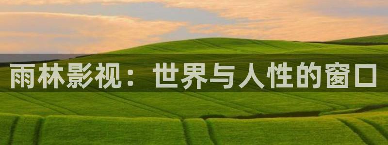 6080新视觉电影免费播放：雨林影视：世界与人性的窗口