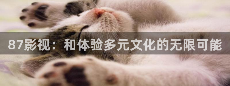 yy6080新视觉影院：87影视：和体验多元文化的无限可能