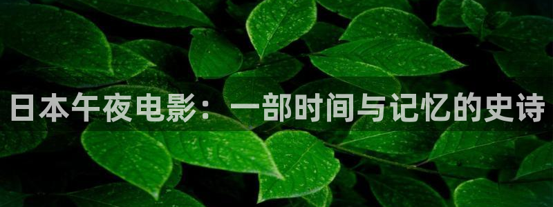 临沂新视觉艺术学校：日本午夜电影：一部时间与记忆的史诗