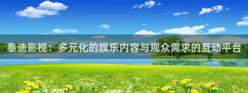 新视觉6080新版：泰迪影视：多元化的娱乐内容与观众需求的互动平台