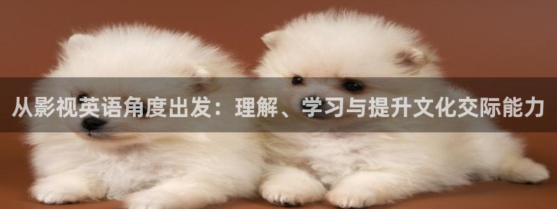 www.6080新视觉影院：从影视英语角度出发：理解、学习与提升文化交际能力
