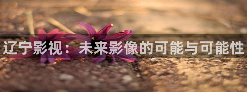 奇领6080新视觉：辽宁影视：未来影像的可能与可能性